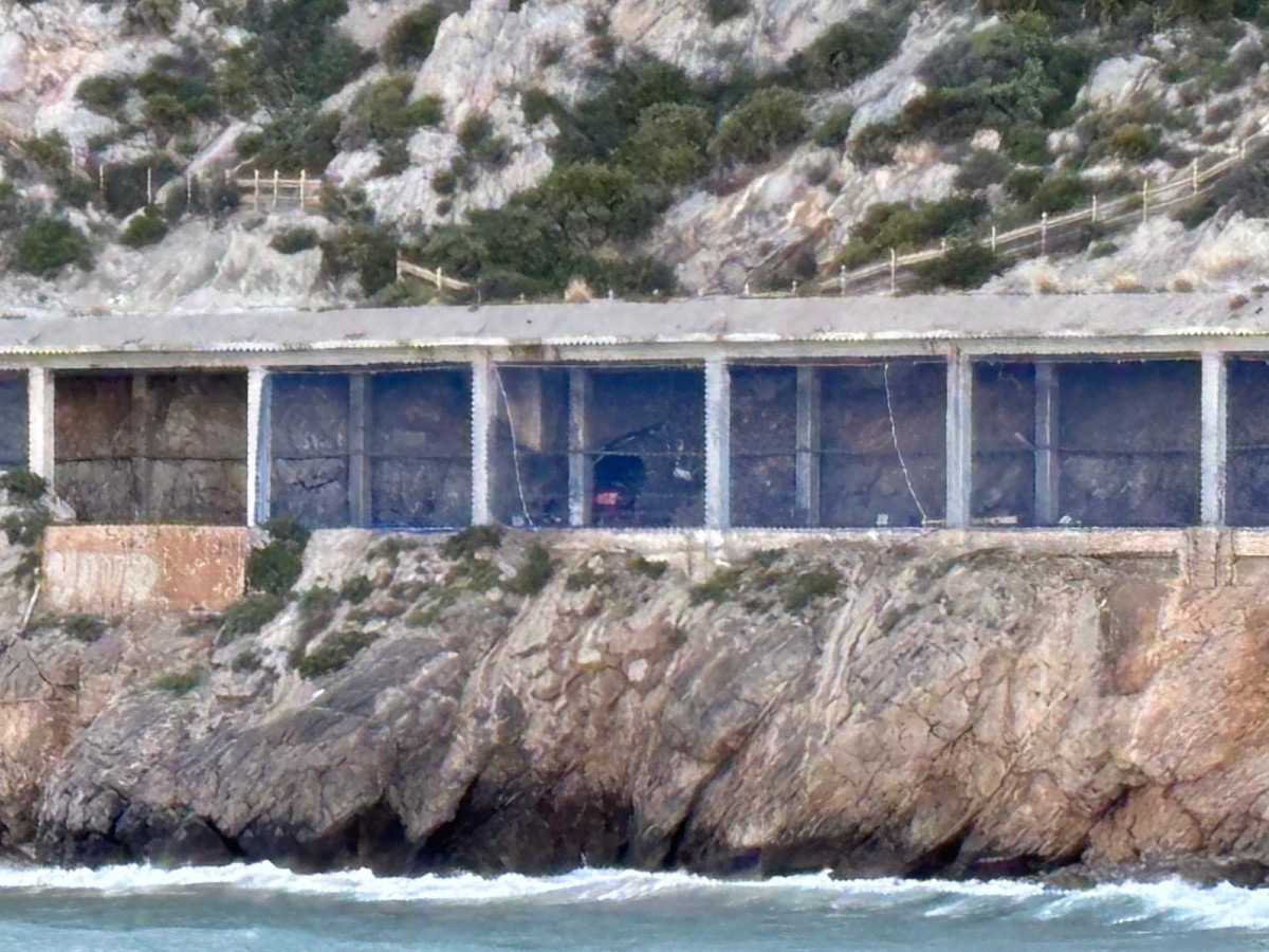 WhatsApp Image 2026 03 31 at 08.12.46 (2)