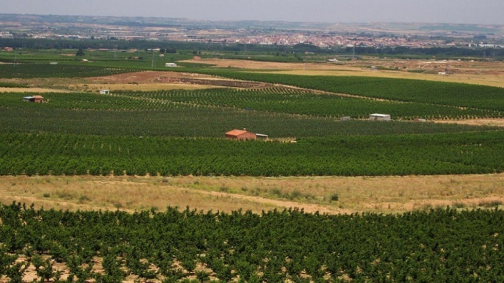 EuropaPress 6813370 govern abona 13 millones ayudas directas ecoregimenes pac 2024