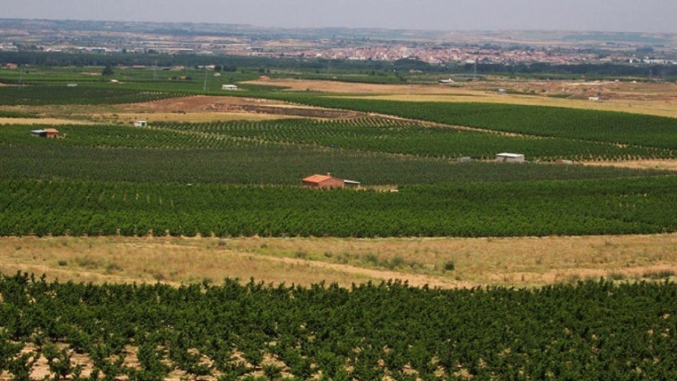 El Govern impulsa la sostenibilidad agrícola con 11,5 millones en pagos directos de la PAC 2025