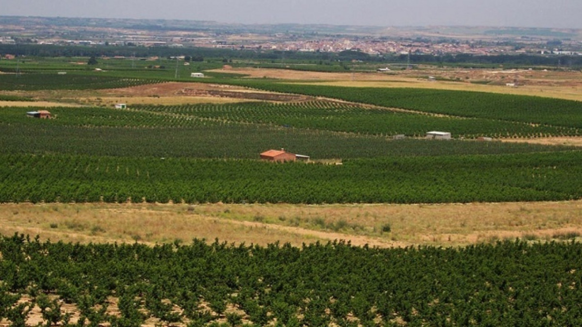 EuropaPress 6813370 govern abona 13 millones ayudas directas ecoregimenes pac 2024