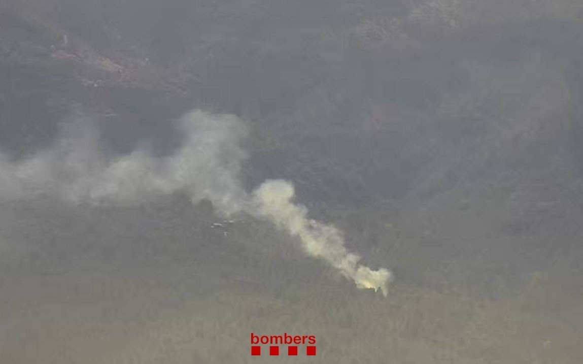 EuropaPress 7416586 imagen incendio forestal capafonts tarragona