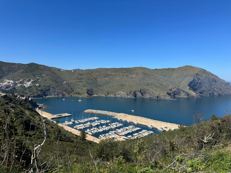 Vídeo: Erizos entre las aguas cristalinas de Portbou, la riqueza escondida del litoral mediterráneo catalán