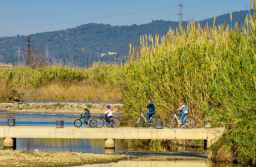 Qué hacer este fin de semana en el Baix Llobregat: tres planes imprescindibles para disfrutar en familia