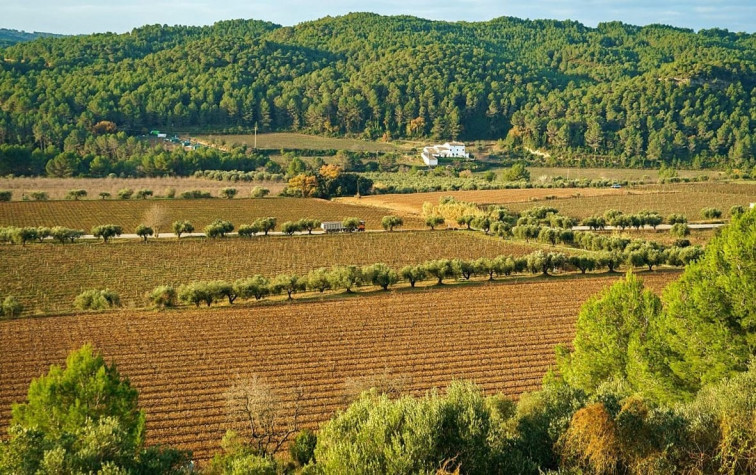 El área metropolitana de Barcelona impulsa un plan para limitar la expansión urbana y recuperar suelo agrario