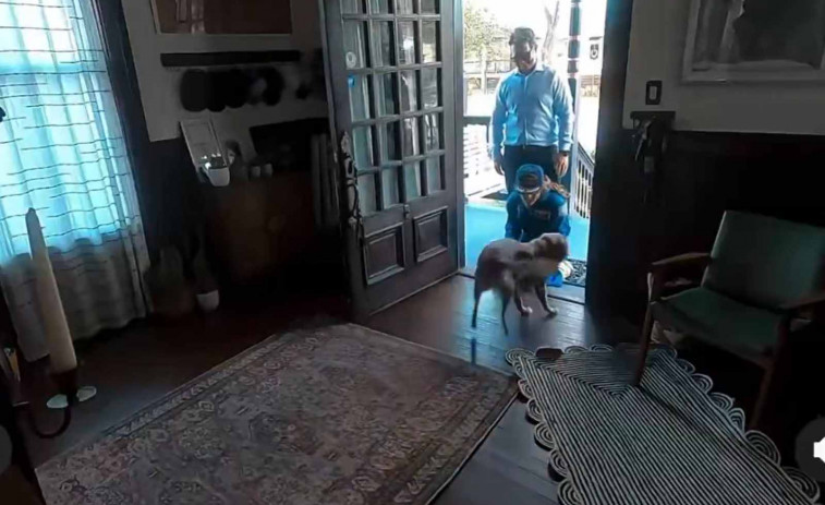 VÍDEO | El emotivo encuentro de una astronauta del Artemis II con su perro tras volver de la Luna