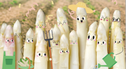 Gavà celebra el “Temps d'Espàrregs” con tradición, gastronomía y protagonismo femenino