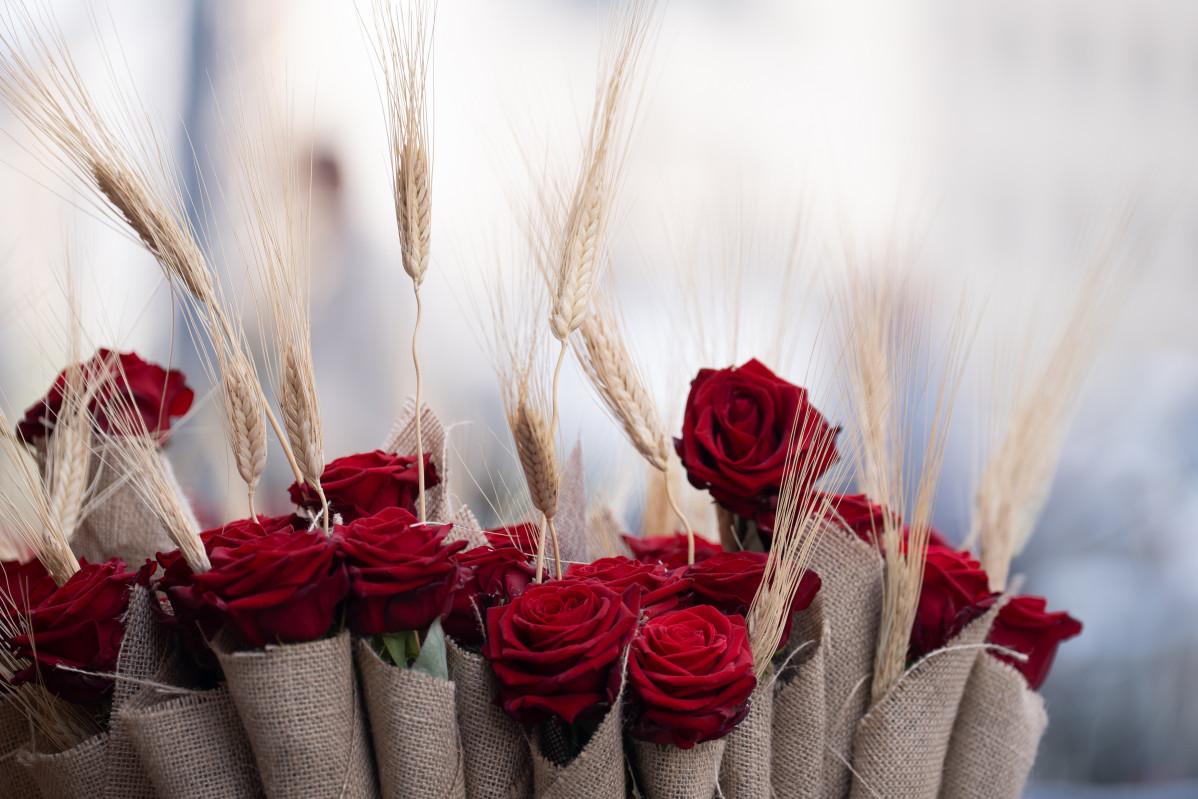 EuropaPress 6669659 varias rosas diada sant jordi 2025 23 abril 2025 barcelona cataluna espana