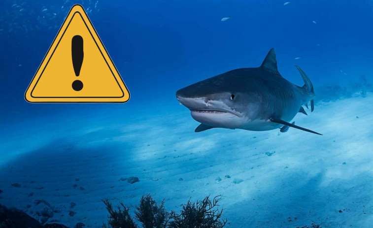 Un español acaba en estado crítico tras ser atacado por un tiburón durante su luna de miel en Maldivas