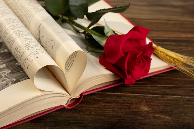 Still life sant jordi day books roses