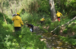Vallirana impulsa una jornada de limpieza en Les Casetes para recuperar el ecosistema de la riera