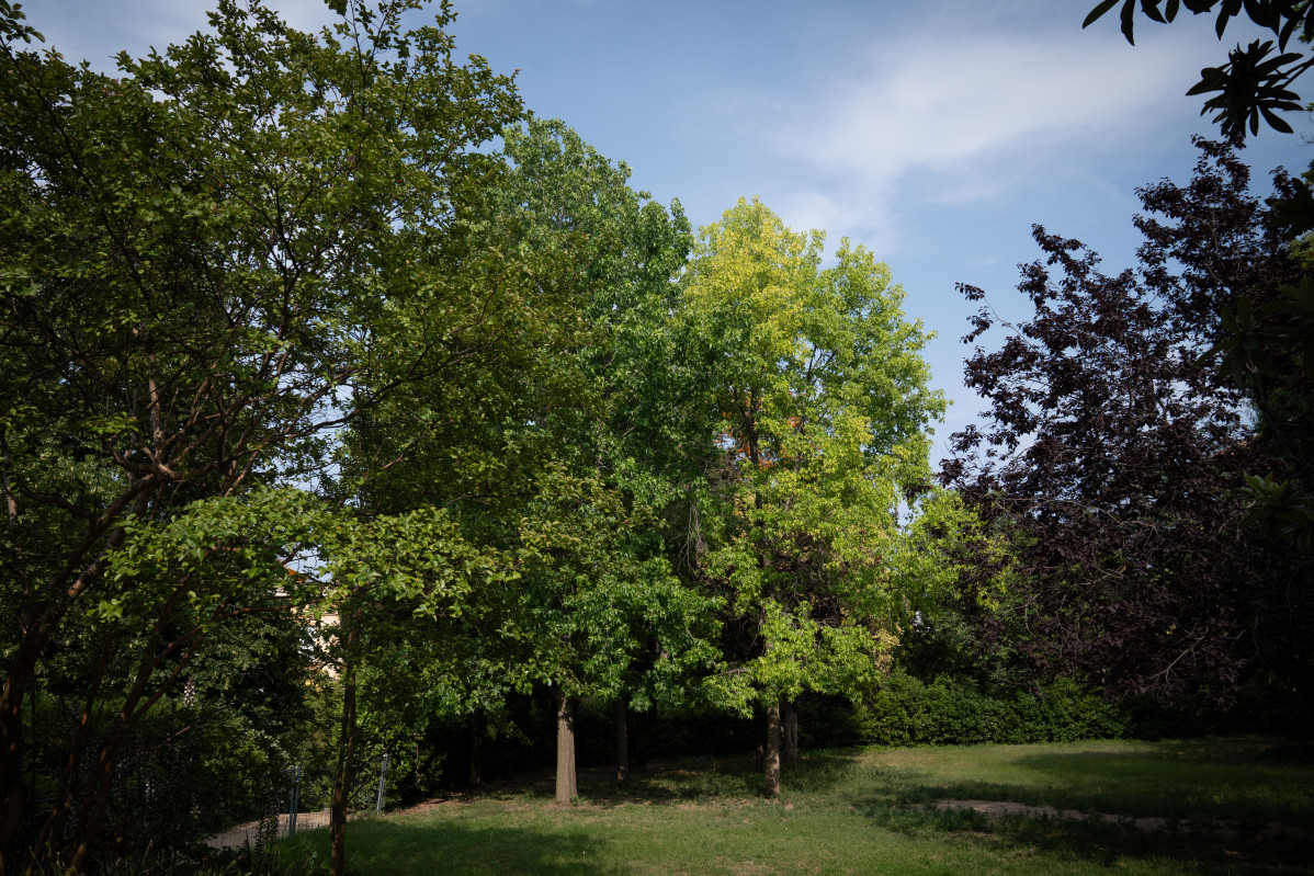 EuropaPress 6778260 parque junio 2025 barcelona catalunya espana pasado martes junio