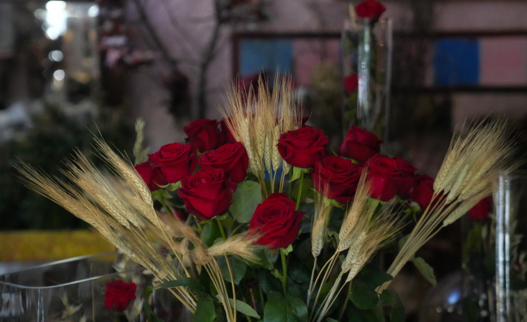 Sant Jordi en Girona: estas son las nuevas ubicaciones de libros y rosas en la ciudad