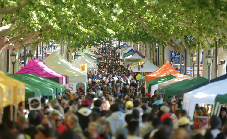 Sant Jordi en Lleida: el mapa de las paradas de rosas y libros en 2026