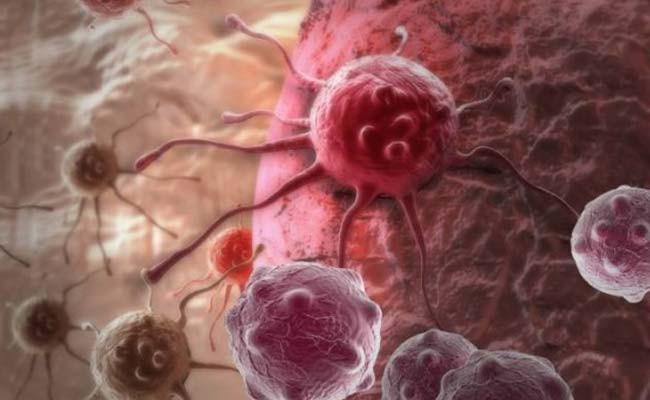 El estudio de las proteínas implicadas en el cáncer da lugar a medicamentos antitumorales