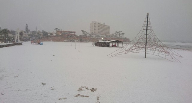 Nieve torrevieja 1