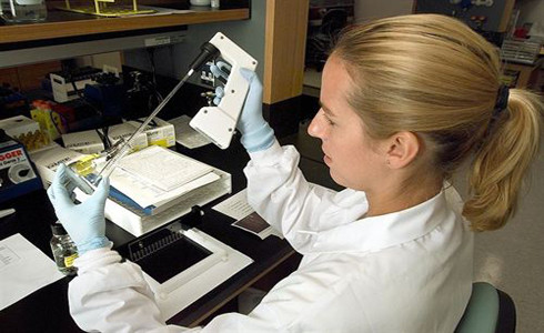Investigación