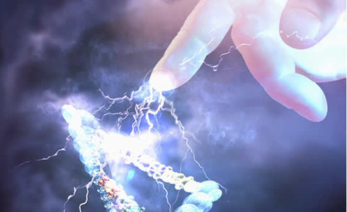 PARTICULA DE DIOS