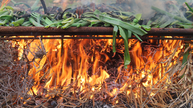 A partir de este miércoles ya no se podrá hacer fuego en los bosques catalanes