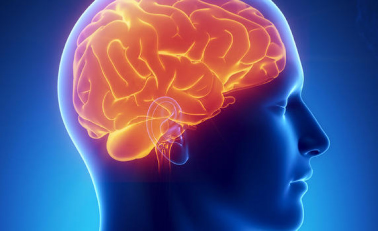 La enfermedad de Huntington altera las neuronas desde que empiezan a desarrollarse