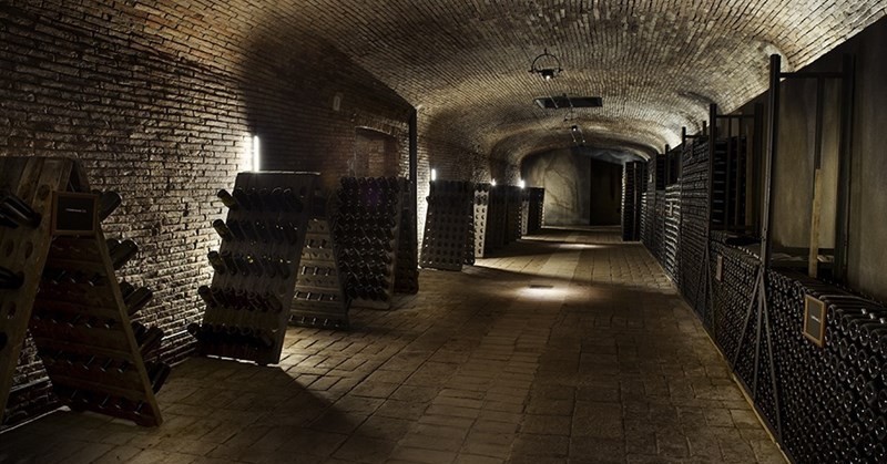 Bodega codorniu