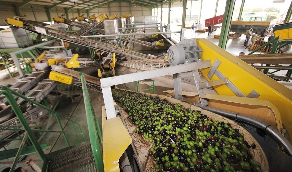 Aceite de oliva indu00fastria imagen