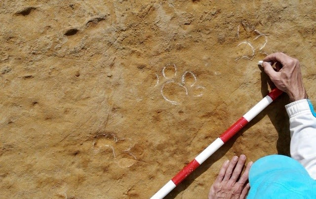 Detalle de las huellas en el yacimiento del Camp dels Ninots de Caldes de Malavella (Girona)