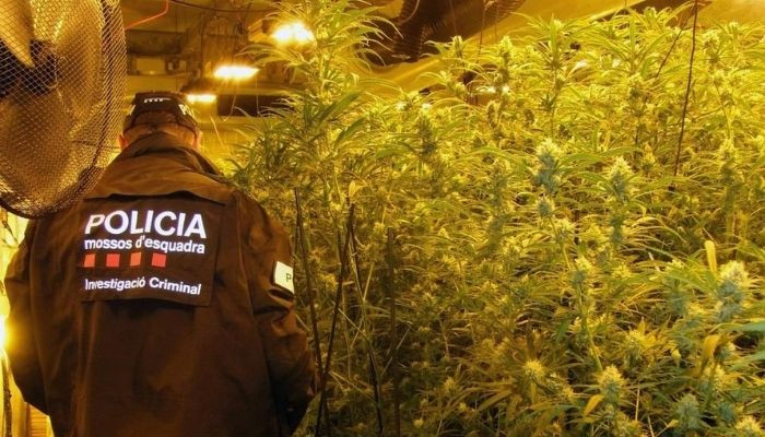 Catalunyapress mossosmarihtarr