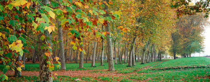 Catalunyapress ParcDevesaGirona