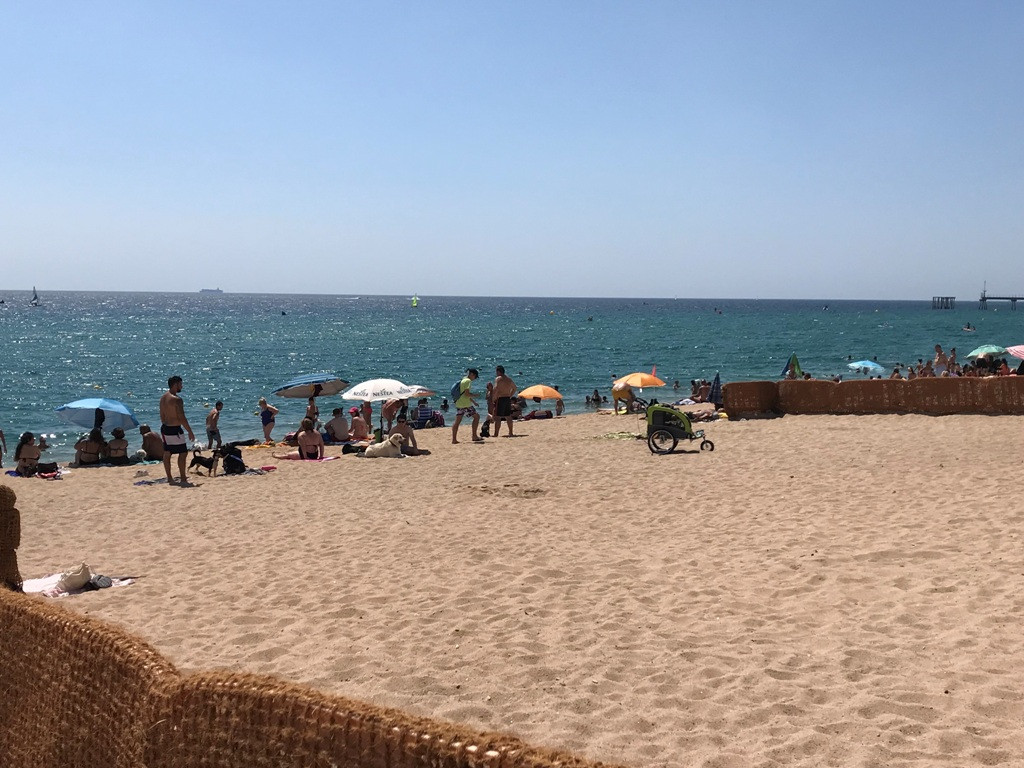 Catalunyapress playaperrosBadalona