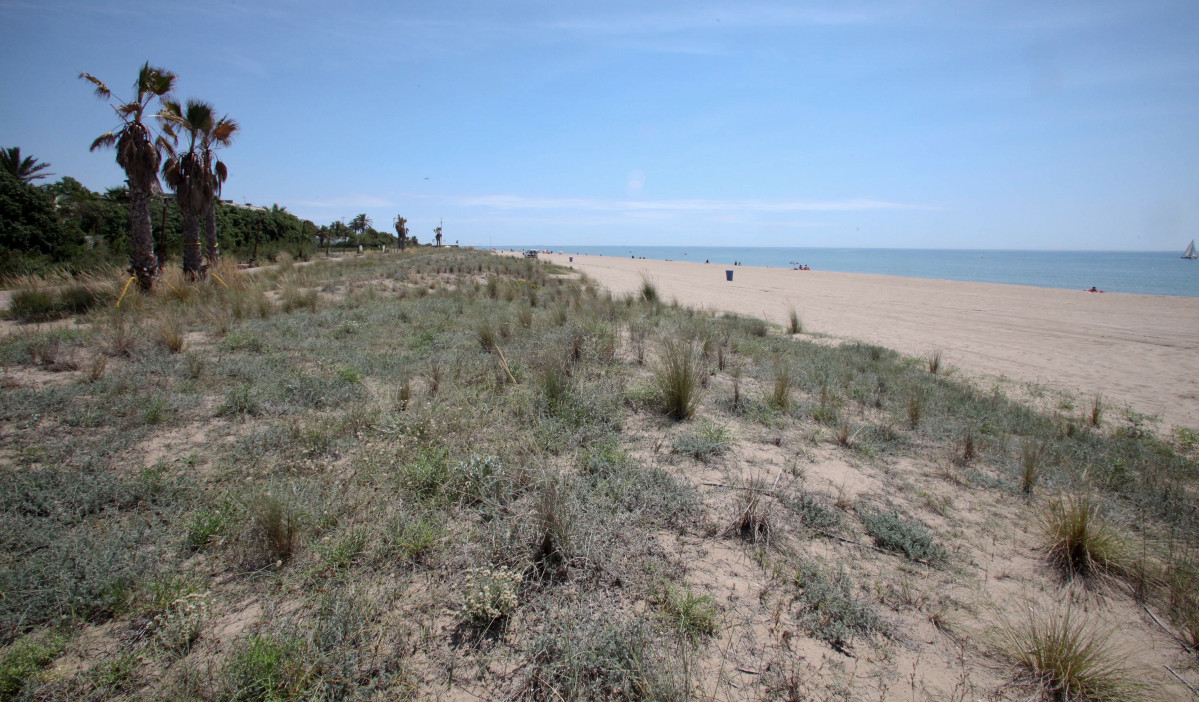 Catalunyapress playasmetro31m23