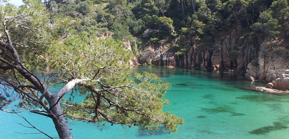 Catalunyapress calaazul