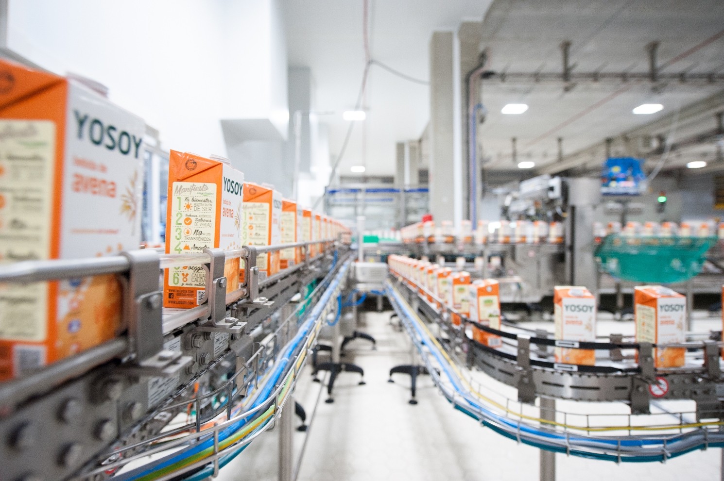 LiquatsVegetals FabricaViladrau 1