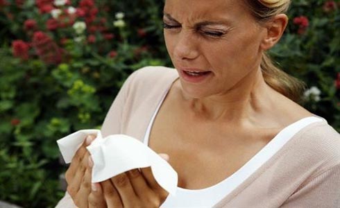 Las crisis alérgicas condicionan la vida social del 70% de los alérgicos