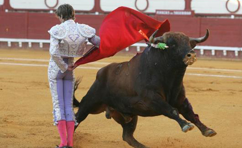 corridas toros