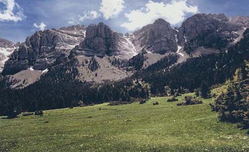 Cadí