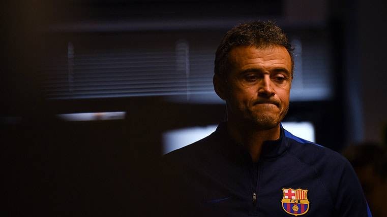 Luisenrique206384