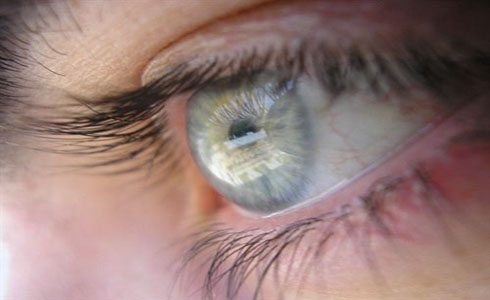 Ojos