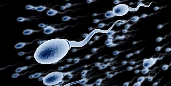 semen
