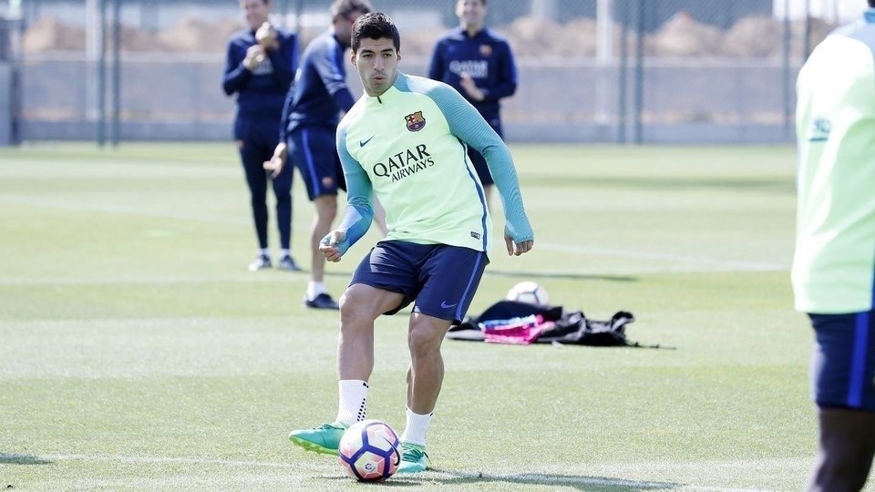 Suarez 6